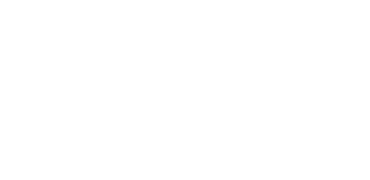Plum Car Service